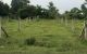 thum-8417560_46a8tiRDl2_1646211925.jpg