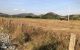 thum-8418712_ifjGS5BNZF_1646276918.jpg