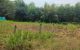 thum-8418730_y43q9ukHpV_1646277619.jpg