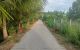thum-8418787_BlgAJjzDHU_1646279896.jpg