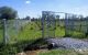 thum-8419001_A27Ln9SGsP_1646288663.jpg