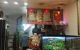 thum-8419404_30Q4AOV6hC_1646302085.jpg