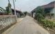 thum-m_XZvO9sypBq_1646276965.jpg