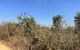 thum-m_bX5j8P6eOz_1646305234.jpg
