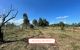 thum-m_laYPy2fMwm_1646297634.jpg