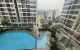 thum-8420451_br8SRGJwxc_1646361542.jpg