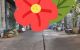 thum-8420512_VEqD2pQtIW_1646363051.jpg