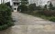 thum-8425411_blNKL6dMiW_1646625155.JPG