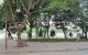 thum-8425477_f0TRkn4S7W_1646627627.jpg