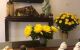 thum-8425550_3op7RyAFak_1646628459.jpg