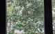 thum-8425823_eJrm8taS7G_1646640102.jpg