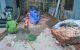 thum-m_4B7xLKvV18_1646659434.jpg