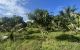 thum-m_INYwTe7XC1_1646623894.jpg
