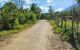 thum-8427186_Ge9EgT3cIC_1646708084.jpg