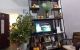 thum-8428420_yDJdE6uYm8_1646753557.jpeg