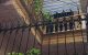 thum-m_eLluVUgGBY_1646753539.jpeg
