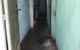 thum-m_zvAHmXogUe_1646737255.jpeg
