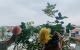 thum-8430083_cZR4wn3FO5_1646828140.jpg