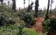 thum-8430720_KQlRDZf5uB_1646874803.jpg