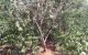 thum-8430720_nUuwQo6dB4_1646874839.jpg