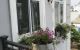 thum-8430920_GhWDCwNpZm_1646880597.jpg