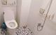 thum-8431056_rCJPfG0T2a_1646886869.jpg