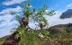 thum-8431064_jD03CZPcGJ_1646887509.jpg