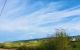 thum-m_F6CmjfOMz8_1646878865.jpg