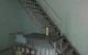 thum-8432848_yYdOrgx13s_1646985787.jpg