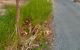 thum-8432880_qLMNZCRcDn_1646988408.jpg