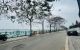 thum-8433120_m5iH3oRws2_1647004821.jpg