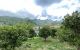 thum-8436738_zQ65KCuekh_1647058548.jpg