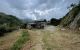 thum-m_dFcL7viyKp_1647058542.jpg