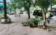 thum-m_v39tTUnECO_1647098167.jpg