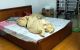 thum-8441245_HyGw7J2Kvu_1647145115.jpg
