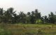 thum-8441849_svzG2aF9qp_1647184032.jpeg