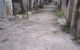 thum-8441951_Mjy0BWlwvf_1647221866.jpg
