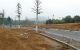 thum-8442616_pgGdeEwNH5_1647251920.jpg