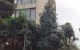 thum-8443094_s0DFd2ZxcB_1647305271.jpg