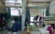 thum-8444345_broYeqVRys_1647366636.jpg
