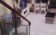 thum-8444528_HKIXzhP8mj_1647392053.jpeg