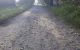 thum-8445098_bPzxowFX0G_1647413673.jpg