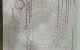 thum-8445243_irFf0Og13Y_1647418041.jpg