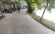 thum-m_GpmCOZAxJv_1647420063.jpg