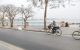 thum-m_rlSM8nFVuP_1647433570.jpg