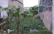 thum-8450402_Lqiu6ynrbT_1647578100.jpg