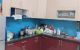 thum-8450901_ZNcxJPi6pC_1647587593.jpg