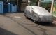 thum-m_qkHND4jEXT_1647577504.jpg