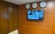 thum-8455012_g7RfZBj5kP_1647675676.jpg