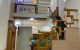 thum-8455180_R5Y7pD4jeP_1647678461.jpg